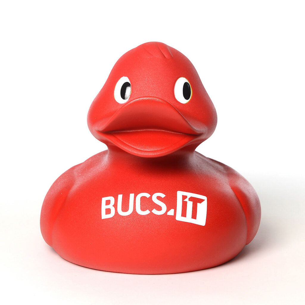 BUCS IT GmbH