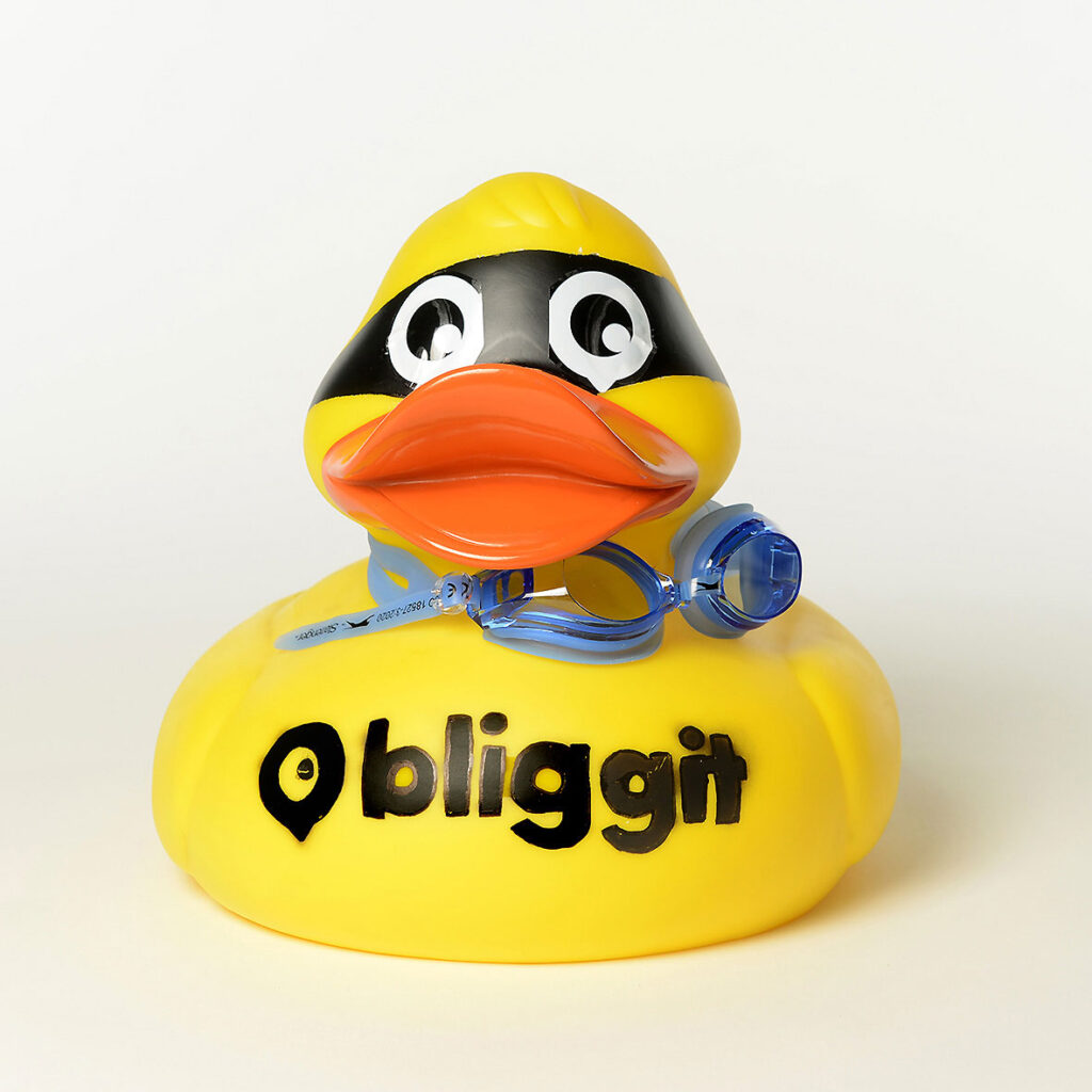 Bliggit GmbH