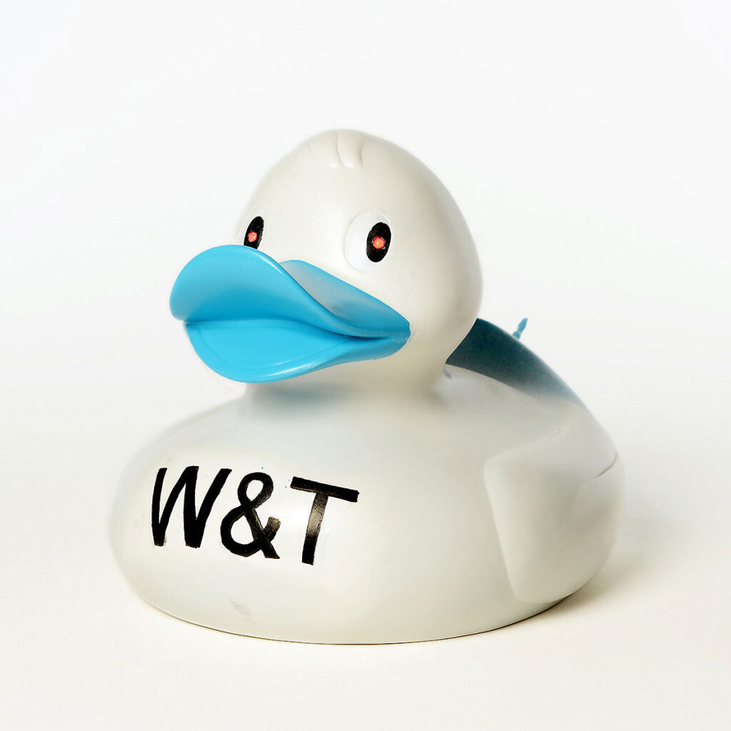 Wiesemann & Theis GmbH